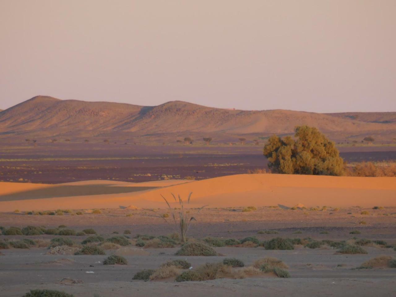 Camel Bivouac Merzouga Luaran gambar